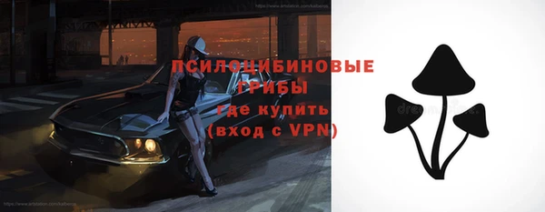 тгк Бугульма