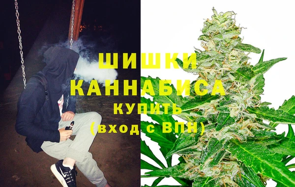 прущая мука Бронницы