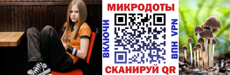 blacksprut рабочий сайт  закладка  Гусев  Галлюциногенные грибы ЛСД 